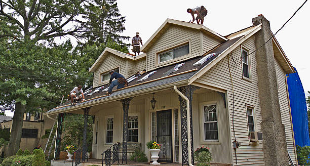 Best Gutter Installation and Roofing  in Gainesville, VA