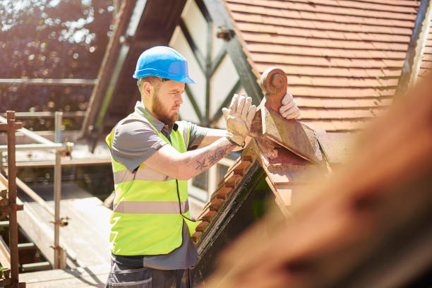 Roof Gutter Cleaning in Gainesville, VA